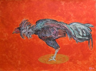 Rooster fight 9-A
