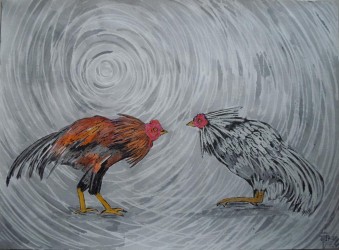 Rooster fight 5