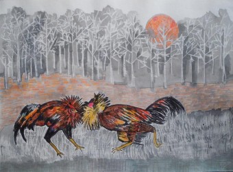 Rooster fight 3