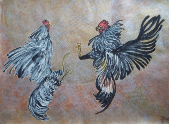 Rooster fight 1